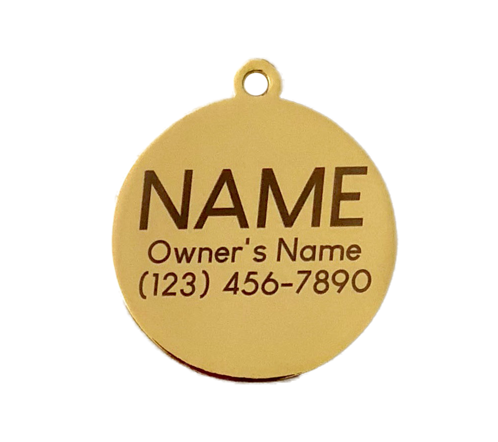 Bow Pet ID Tag