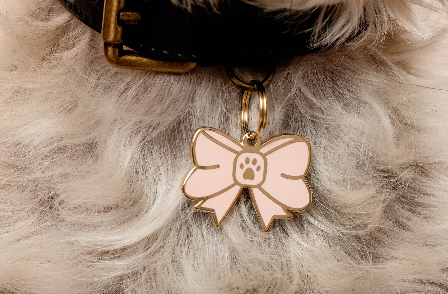 Bow Pet ID Tag