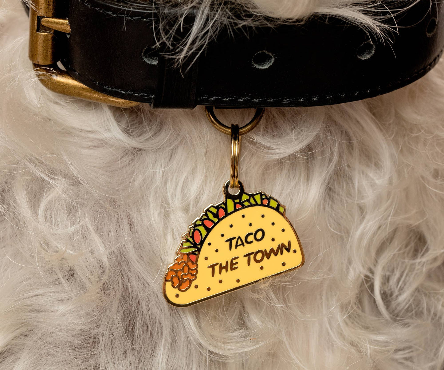 Taco the Town Pet ID Tag