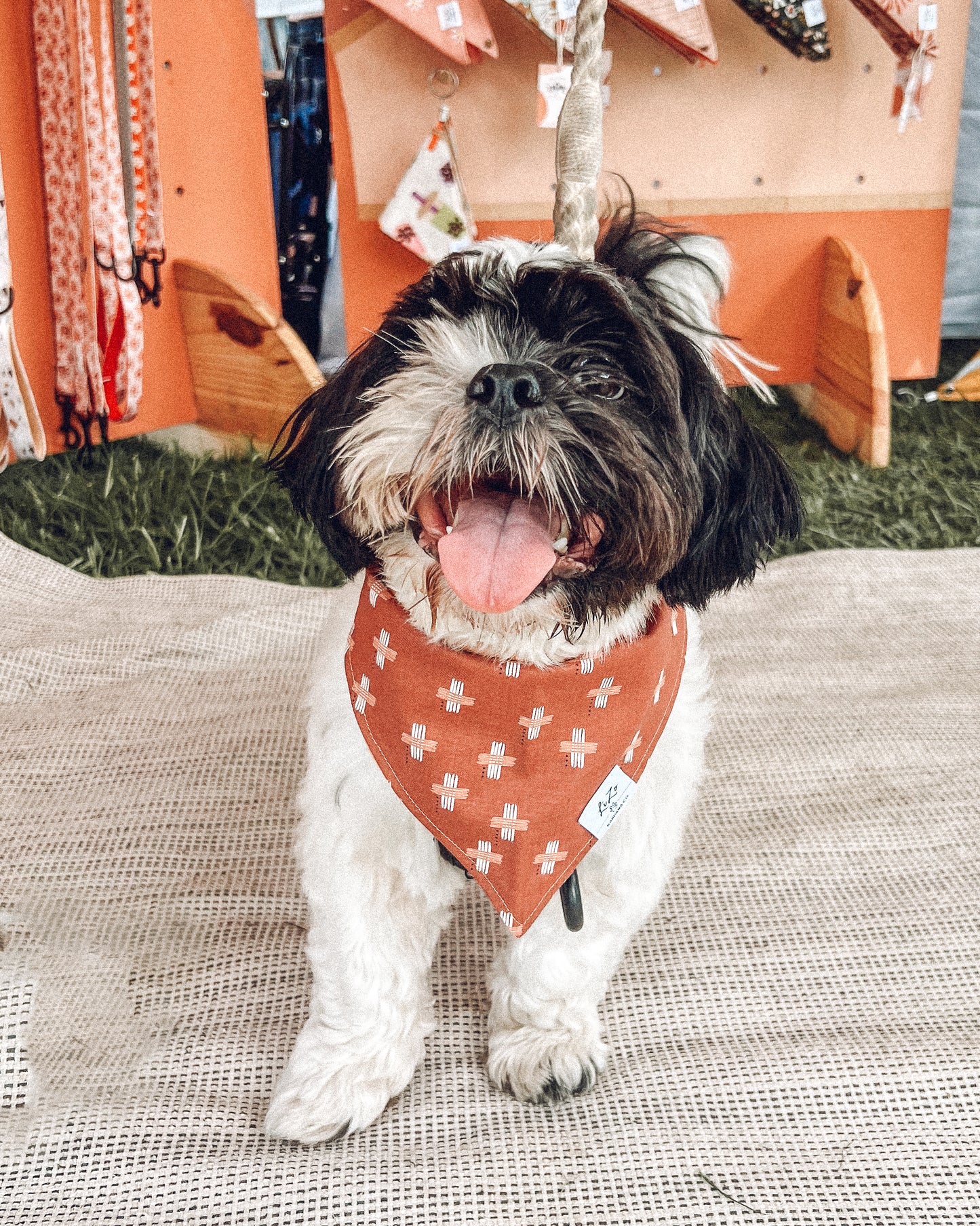 'Desert Sunrise' Dog Bandana