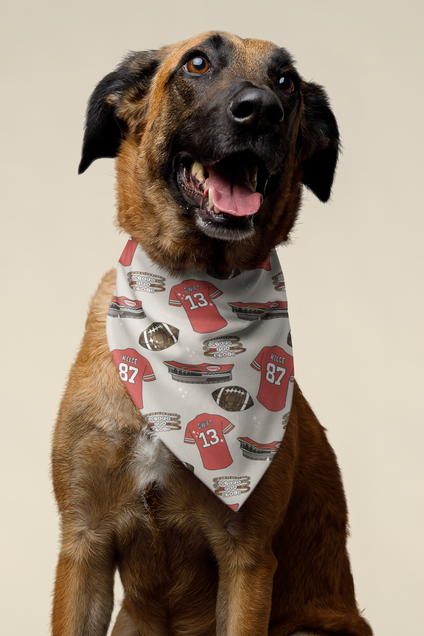 'Football Era' Dog Bandana