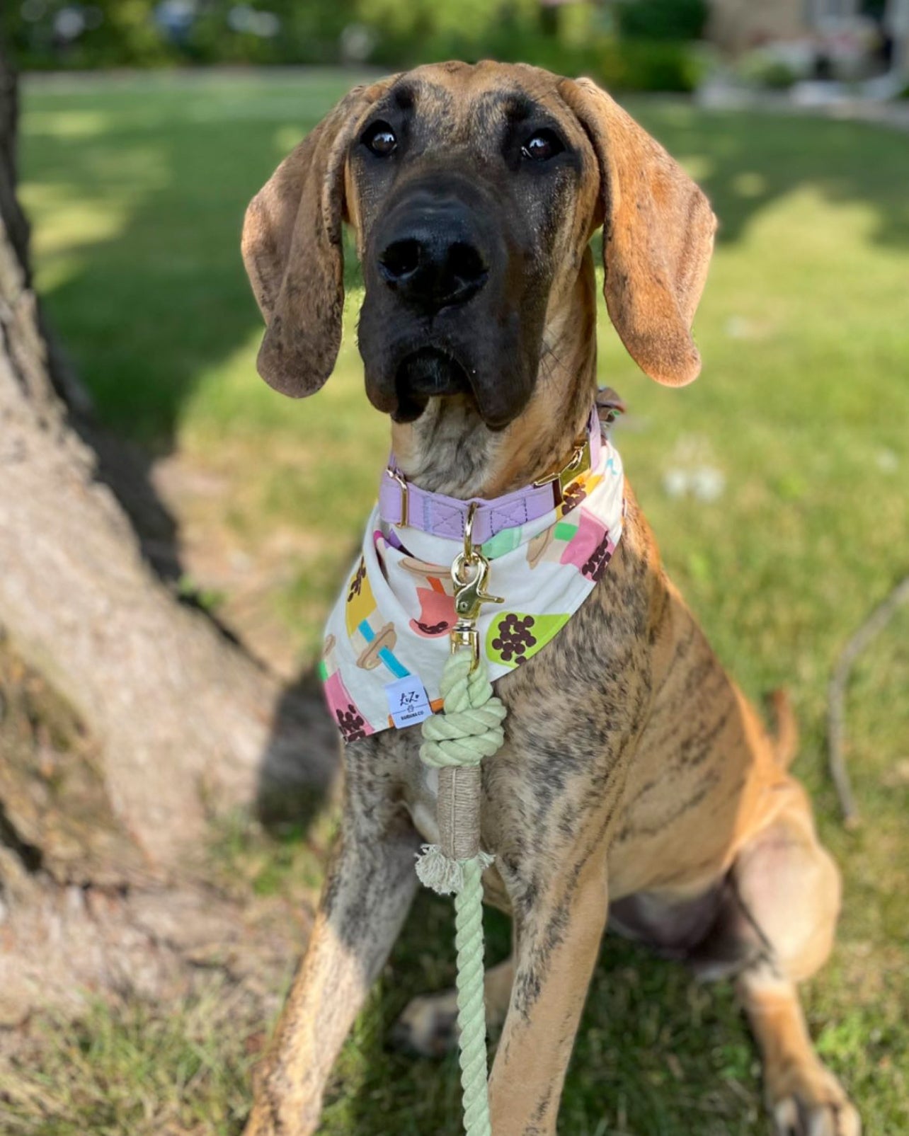 'Boba Tea' Dog Bandana