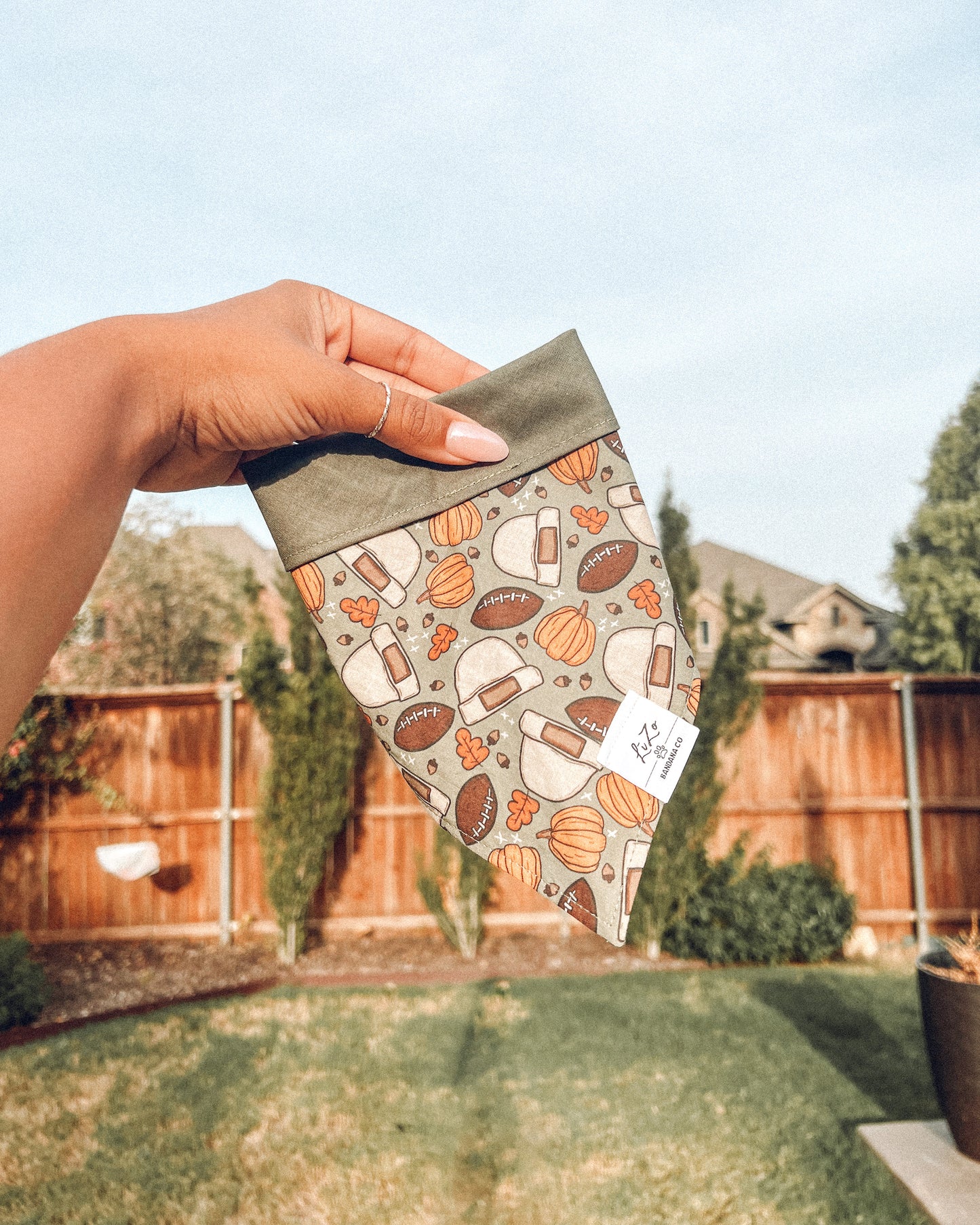 'Fall & Football' Dog Bandana