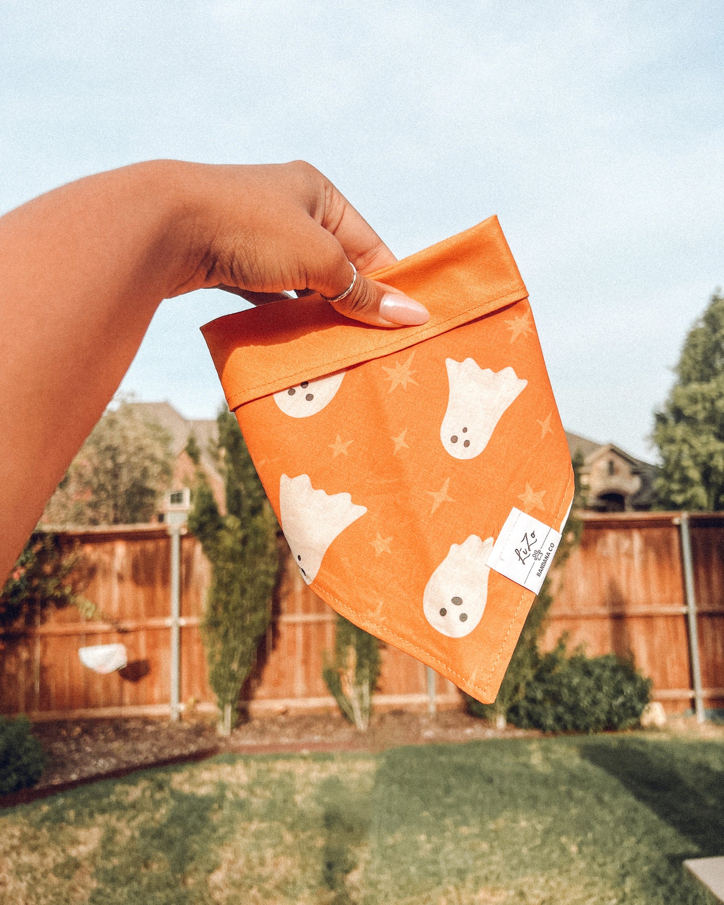 'Boo!' Dog Bandana