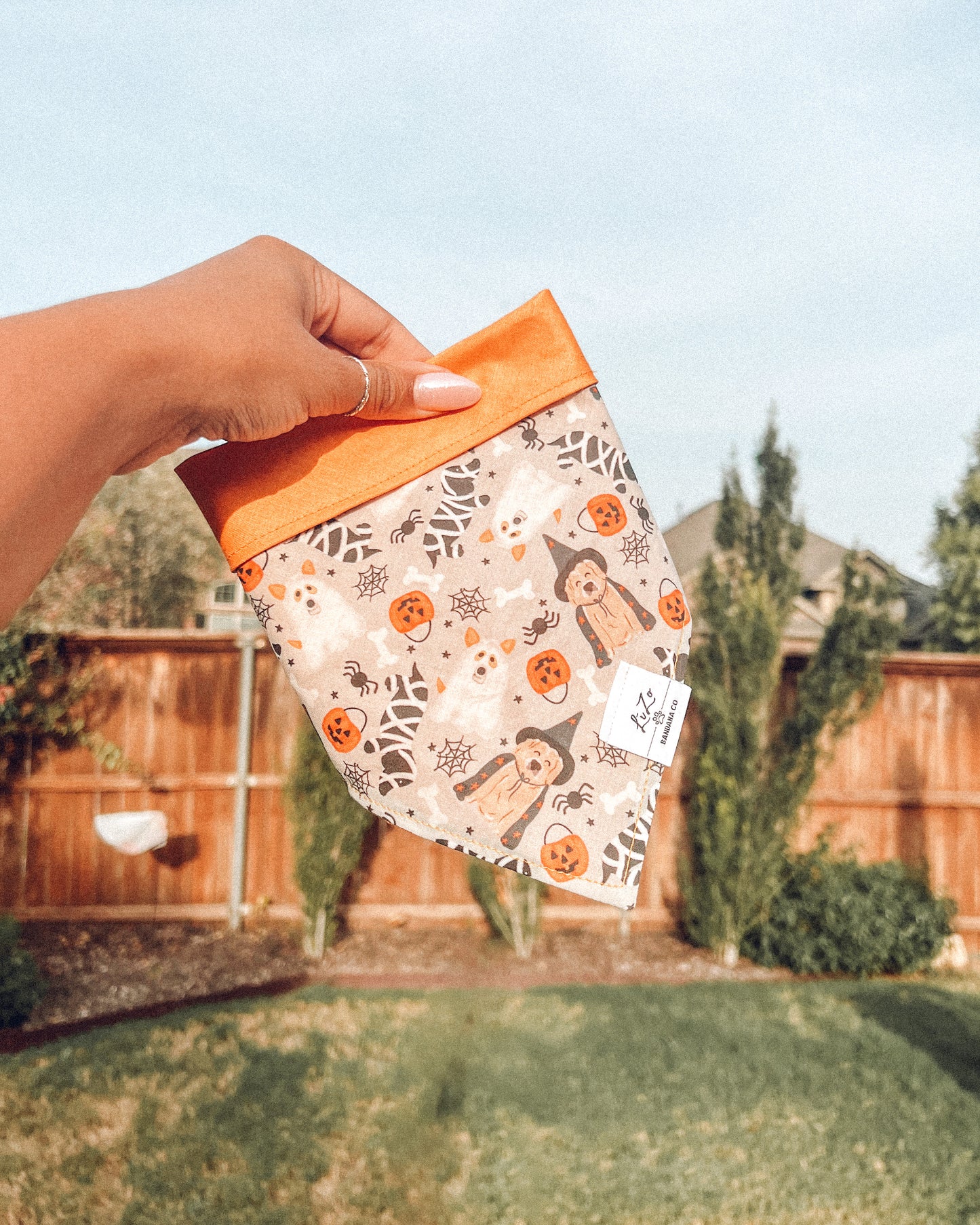 'Trick or Treat' Dog Bandana