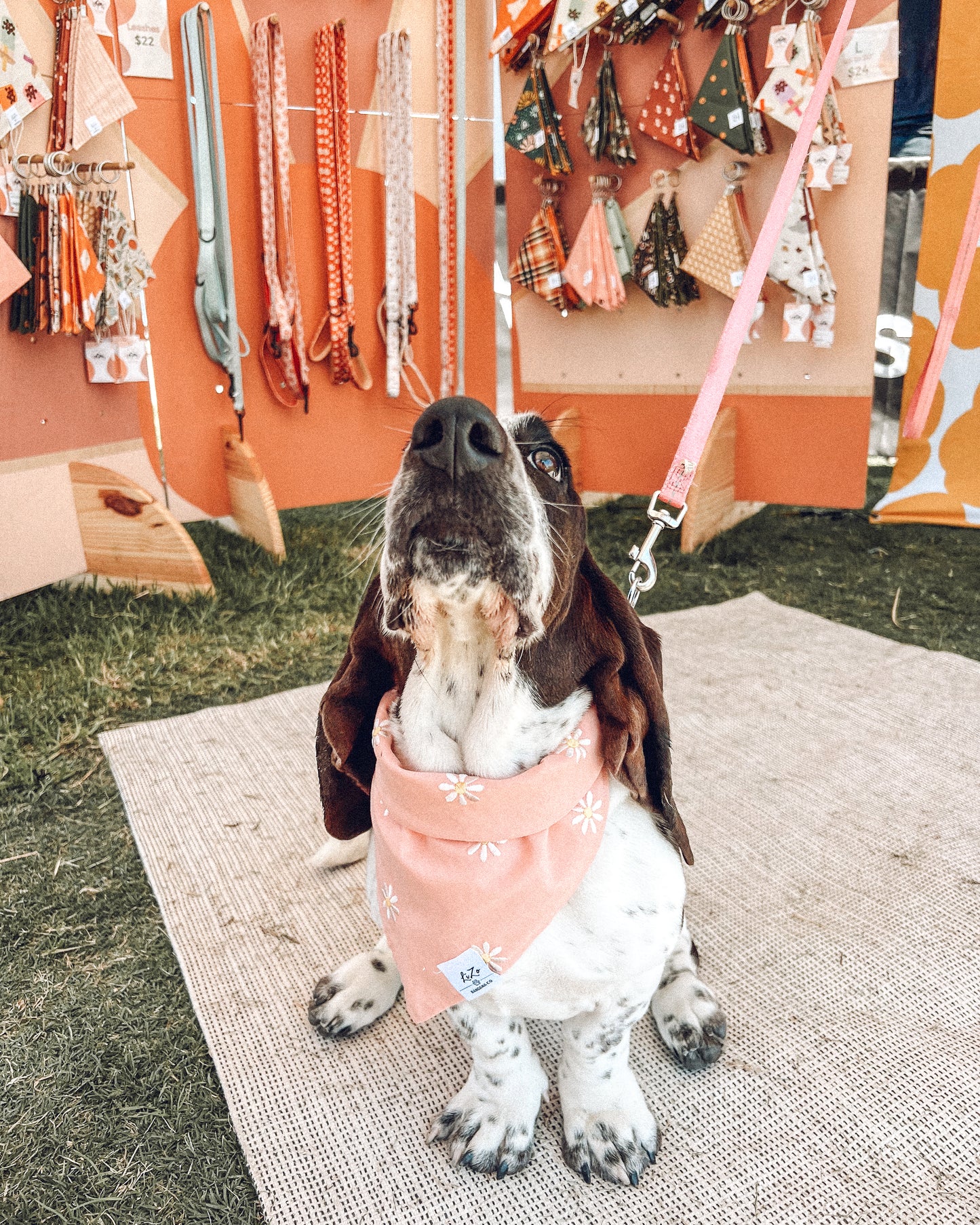 'Bloom' Dog Bandana