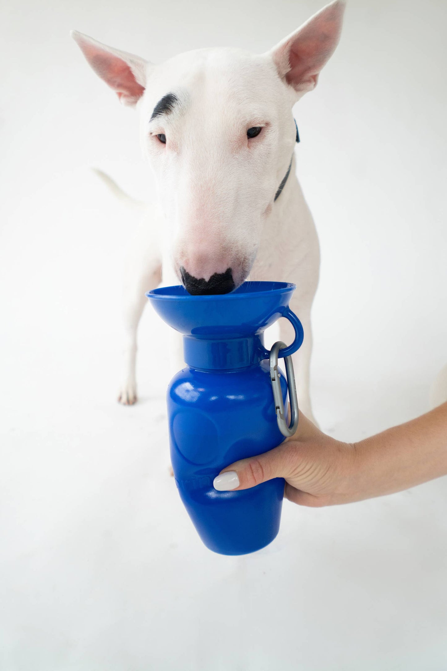 Dog Water Travel Bottle