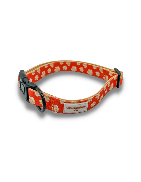 'Lilo' - Dog Collar