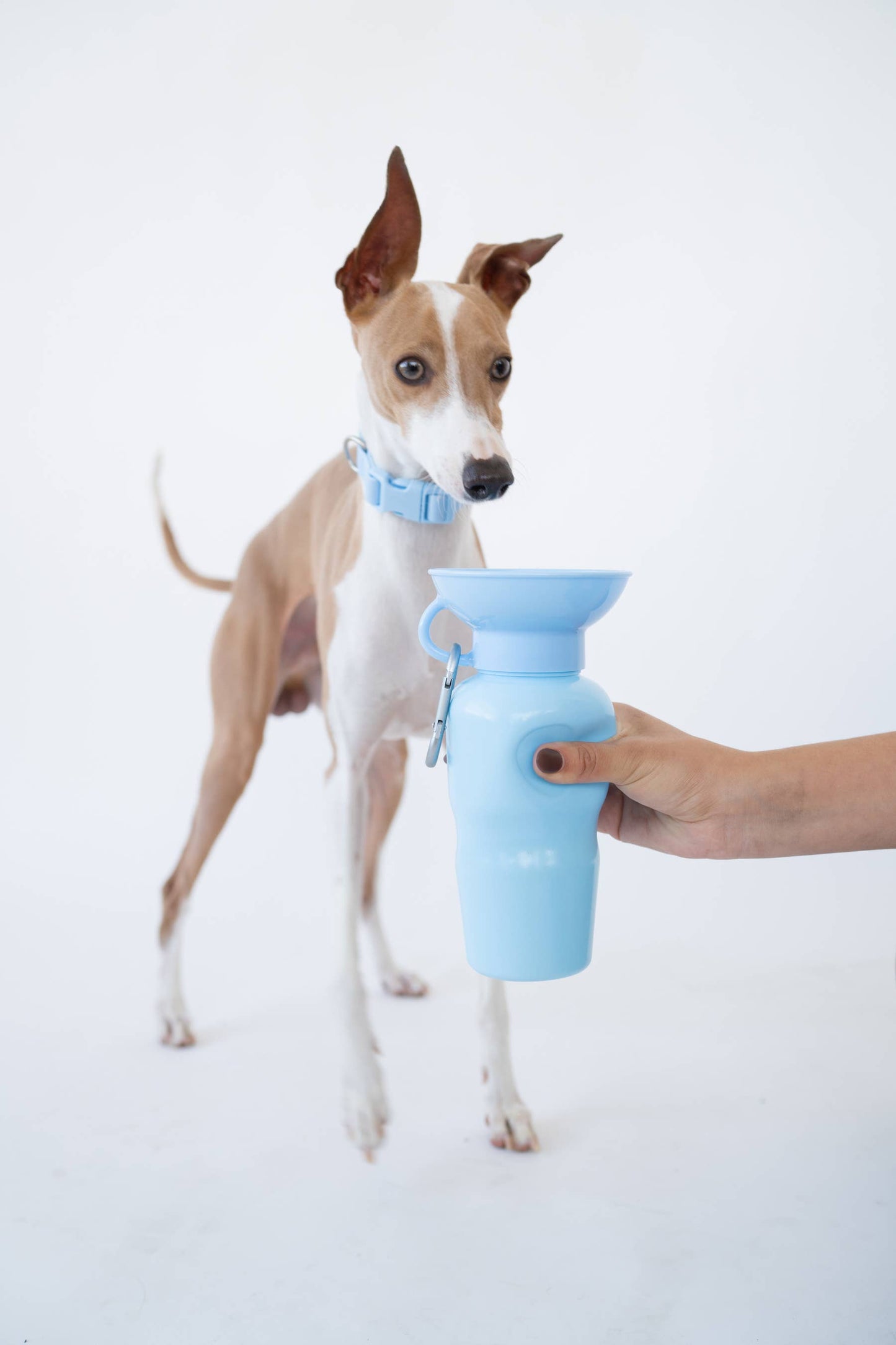 Dog Water Travel Bottle