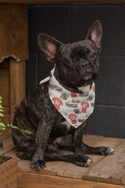 Baker mayfield dog 2024 bandana