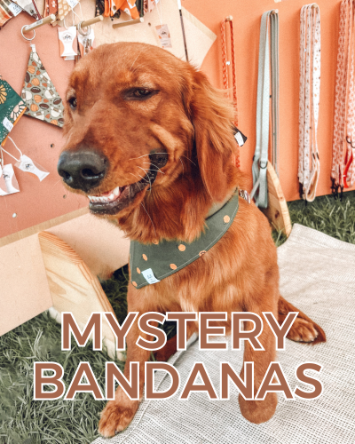 Holiday Bandana Mystery Bundle