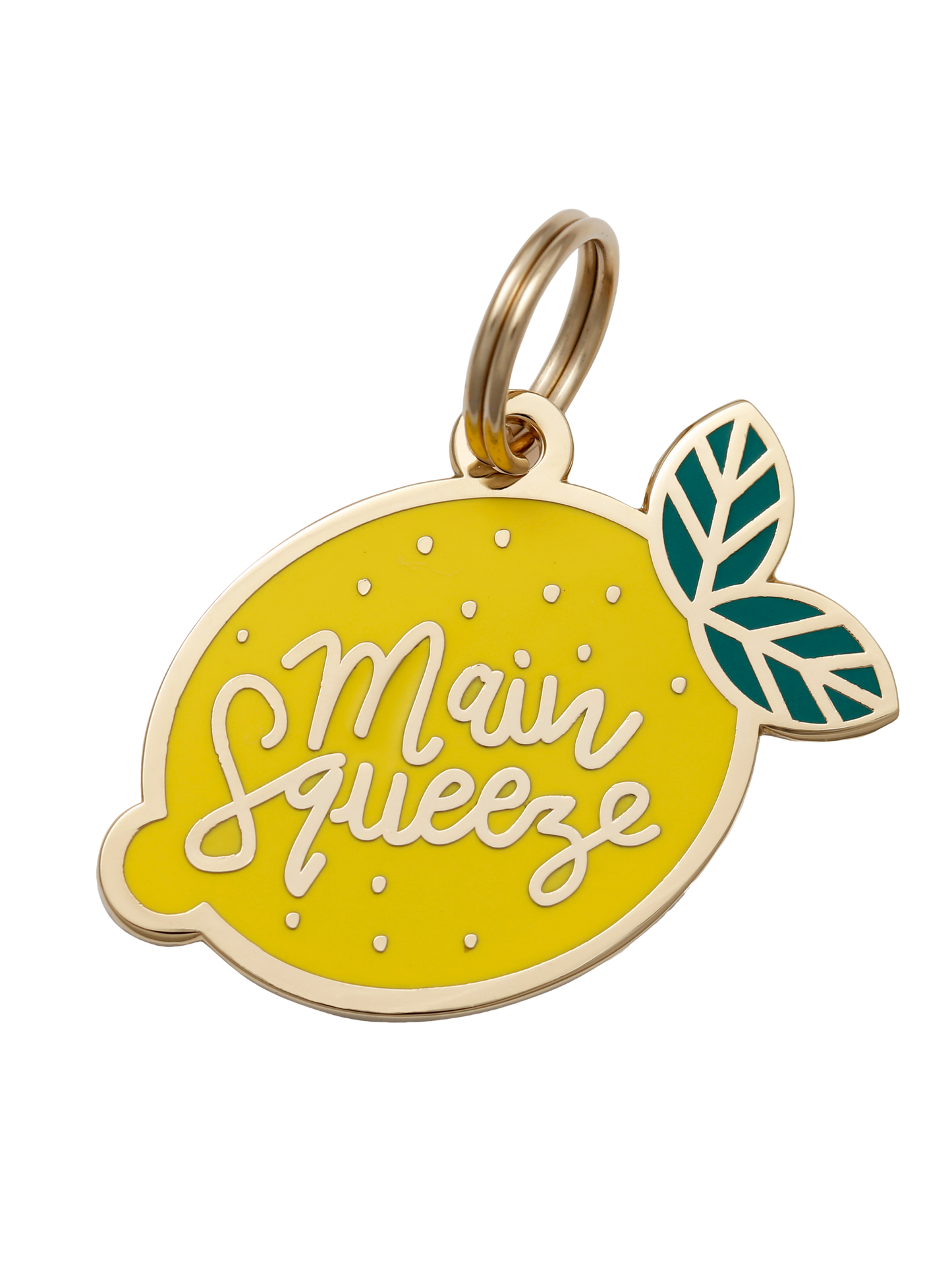 Main Squeeze Pet ID Tag